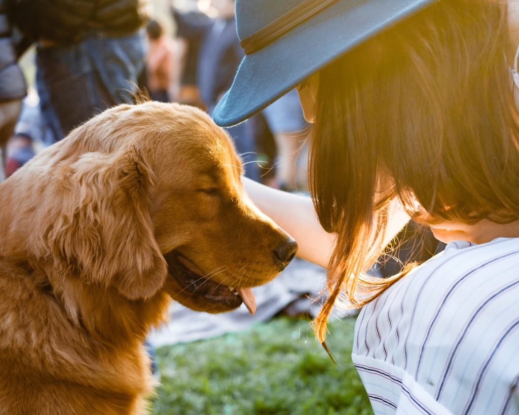 travel around the world with a dog